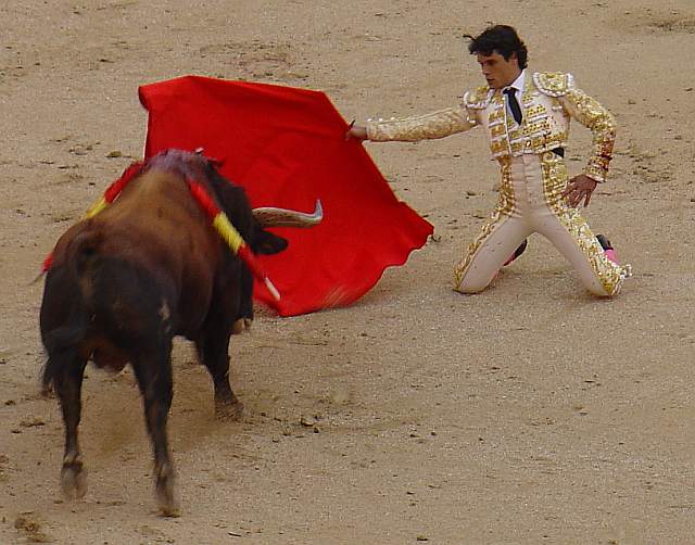Abellan citando de rodillas a Muelon, toro castaño de 522 kilos nacido en noviembre de 2003 en la ganaderia de Salvador Domecq lidiao el 2º la tarde del 9 de mayo de 2009 en la plaza las Ventas de Madrid, el mismo que a la postre propino al Torer@ 1 tabaco ascendente de 15 centimetros en el muslo izquierdo a la altura de la corva que contusiono el paqueque vasculonervioso, alcanzando el femur y retirandolo al hule cuando le dio muerte sin que volviera a reaparecer el resto de la corrida