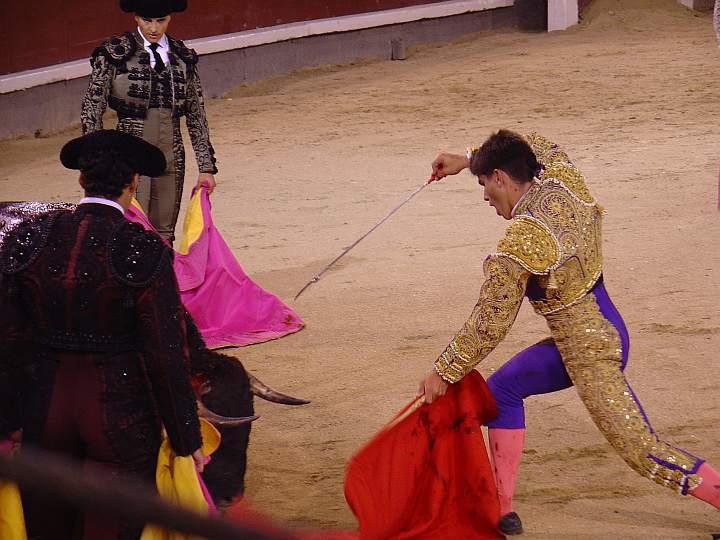 Ruben Pinar | Basilio Mansilla | El Madrileño | Luchador | Carmen Segovia encaste Torrestrella | 475 Kg.