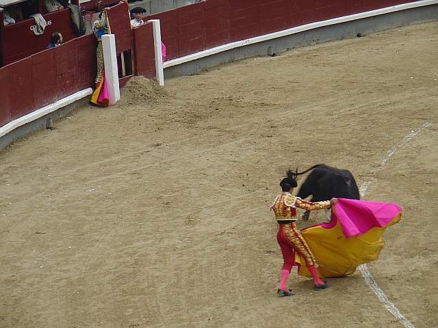 El Juli | Cantapajaros | Victoriano del Rio encaste JP Domecq | 529 Kg.