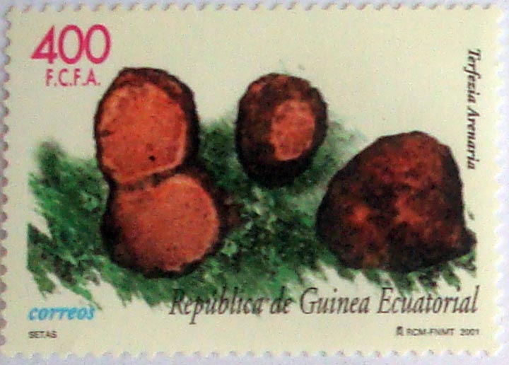 Rapto de Europa