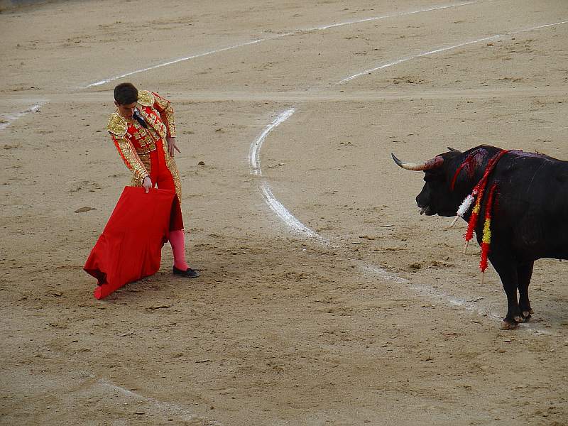 Ruben Pinar el 13 de abril de 2008 en las Ventas