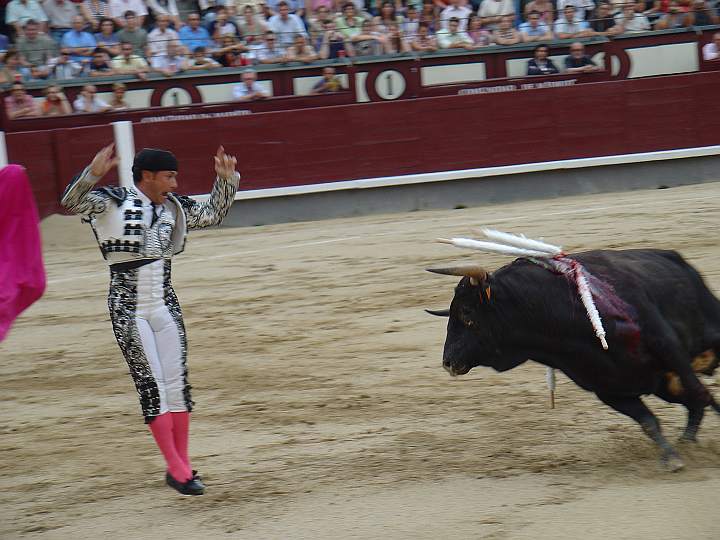 Ricardo Aguin | Doliente | Torreherberos encaste JP Domecq | 500 Kg. Terfecia arenaria criadillas 