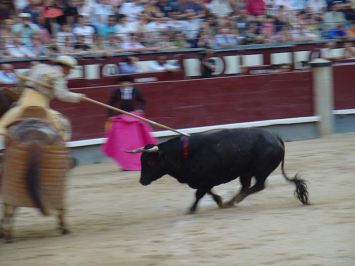 Agustin Moreno | Linternito | Guadaira encaste JP Domecq | 536 Kg.