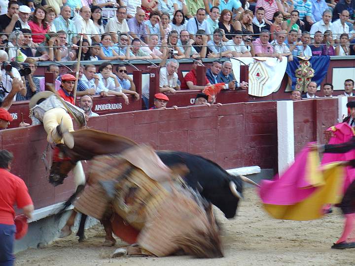 Agustin Moreno | Linternito | Guadaira encaste JP Domecq | 536 Kg.