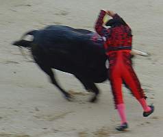 De la Sierra, El Chano y Angel Otero Chico banderillearon y ayudaron a lidiar los toros a Frascuelo