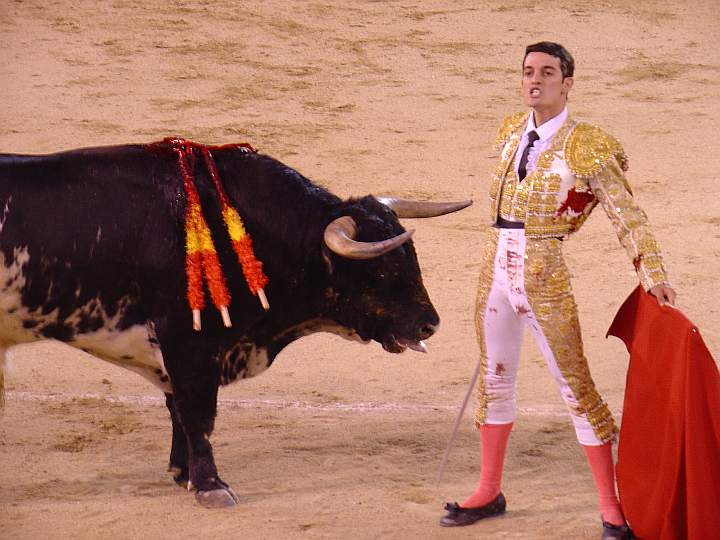 torero Miguel Luque toro Achaparrado ganaderia El Serrano encaste JP Domecq | 520 Kg.