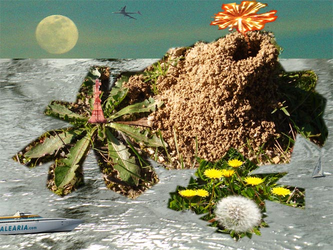 La isla bonita