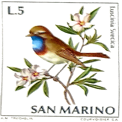 Phoenicurus phoenicurus
