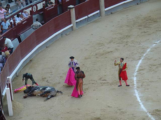 Luis de Pauloba | Pablo Saugar Pirri | Pedro Pablo Pérez | Raúl Francisco Martín | Aguavivo | Hernández Pla encaste Santa Coloma - Buendia | 549 Kg.