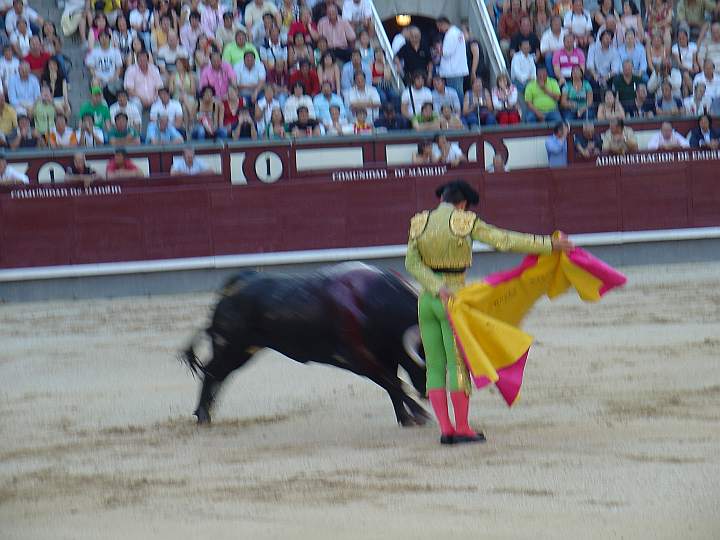 Ruben Pinar hizo el quite de la mariposa a Canalla