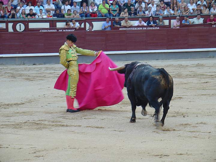 Ruben Pinar hizo el quite de la mariposa a Canalla