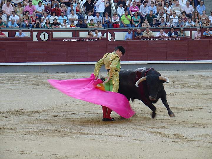 Ruben Pinar hizo el quite de la mariposa a Canalla