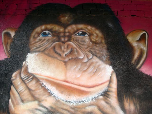 #graffiti #streetart hermano mono